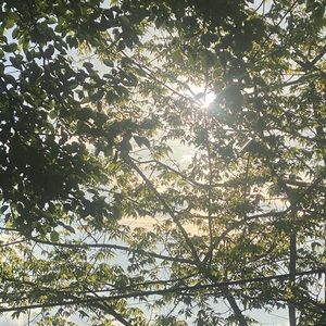 Meet your Posher, Frances